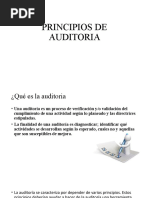 3.1 Principios de Auditoria