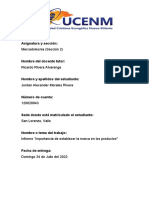 Informe Importancia de Establecer La Marca en Los Productos