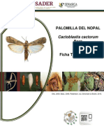 Ficha Técnica de Palomilla Del Nopal