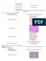 Epithelial Tissue