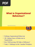 Chapter 1-What Is Organizational Behaviour