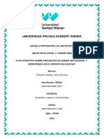 Plan Operativo de Prevencion de La Anemia en Las Gestantes