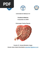 Practica Placenta