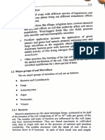 Microflora of Soil