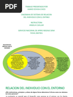 Diagrama Del Entorno