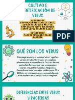 Virus Expo Micro - Equipo3