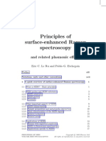 Principles of Surface-Enhanced Raman Spectroscopy: and Related Plasmonic Effects