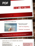 Joint Venture