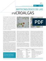 Potencial Biotecnológico de Las Microalgas