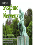 20 - Système Nerveux