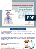 Tema 20 - Farmacos Que Actuan Sobre La Funcion Tiroidea - 22-23