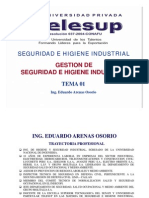 Gestion de Seguridad e Higiene Industrial