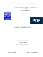 Observación y Medición Del Feto