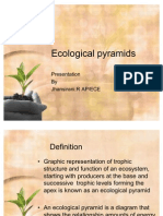 Ecological Pyramids, Energy Flow & Nutrient Cycle