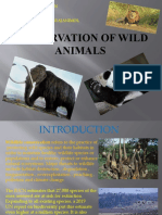 Conservation of Wild Animals