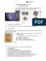 FT-Formativa Nº6 - Rep. Sex. - 11.º Ano