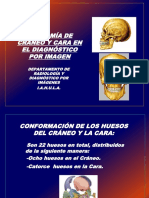 Anatomia Radiologica de Craneo y Cara