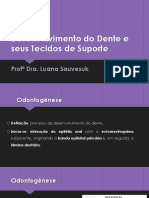 Desenvolvimento Do Dente e Seus Tecidos de Suporte