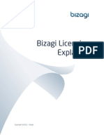 Bizagi Licensing Explained ENG