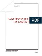 Panorama Do Novo Testamento