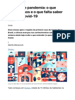 Um Ano de Pandemia: o Que Aprendemos e o Que Falta Saber Sobre A Covid-19