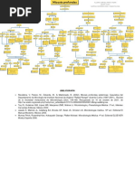 Micosis Profundas