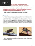 GUÍA PARA EL CONTROL DE LOS PARÁSITOS EXTERNOS EN BOVINOS DE CARNE DEL ÁREA CENTRAL DE LA ARGENTINA Parte 3