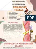 Grupo N°01 - Reparación Tisular.