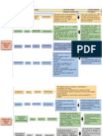 Organizador Grafico Escuelas Del Derecho Penal