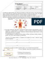 0 - Avaliação de Geografia 5° Ano