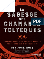 La Sagesse Des Chamans Toltques