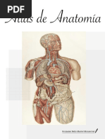 Atlas de Anatomía Humana