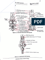 Zoology Laboratory - Activity No. 12 - Nervous System