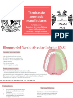 Técnicas de Anestesia Mandibulares