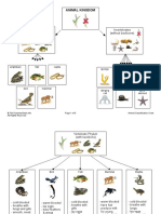 Animal Classification Charts