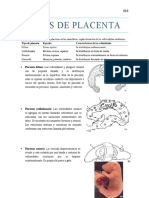 TAREA Nro 10 Tipos de Placentas