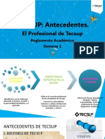 01 Diapositivas. Tecsup, Antecedentes, El Profesional, Reglamento