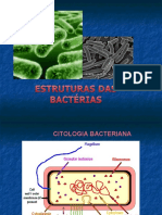 Estruturas Bacterianas