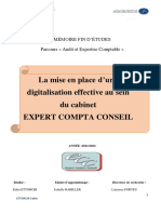 Mémoire Professionnel Master 2