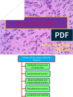 Tumors of The Uterus (DR Nazirah)