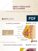 Anatomía y Fisiología de La Mama