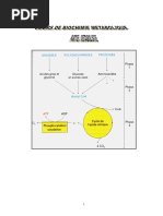 COURS Biochimie Metabolique (Polycope)