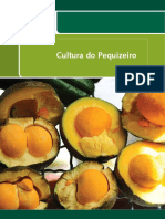 Cultura Do Pequizeiro - Web