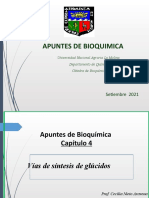 Tema 10 y 11 Glucogeno y Vias de Sintesis