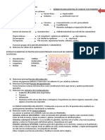 cuestionario-100.DERMATO-RESUELTO 2