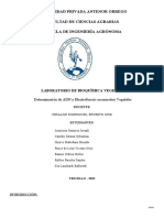 Practica 08 Informe Extracción de ADN y Electroforesis