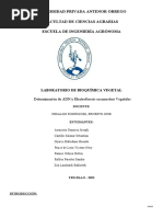 Practica 08 Informe Extracción de ADN y Electroforesis