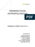 Trabajo Practico Numero 4 de Antropología