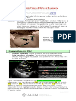 Ultrasound Echocardiography