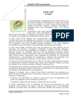 25o Anel PDF Free